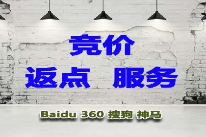 SEM代运营推广公司成功案例，助力企业实现多元化发展